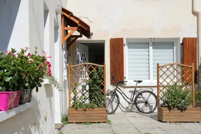 Vélo sur le terrain de l'établissement Superbe appartement tout confort 