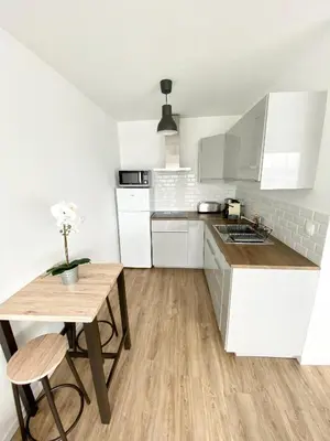 Cuisine ou kitchenette dans l'établissement L'INDUSTRIEL CHIC, 2 PIECES AVEC VU IMPRENABLE SUR ROUEN
