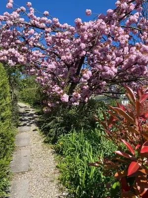 Jardin de l'établissement Le Pavillon Bellevue