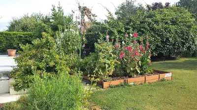 Jardin de l'établissement 2 chambres privées dans un jardin d'hiver, garage voiture, vélos, motos