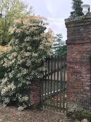 Jardin de l'établissement CHATEAU D HUGLEVILLE