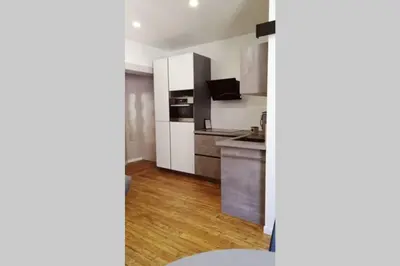 Cuisine ou kitchenette dans l'établissement L'oasis : Appartement en centre ville