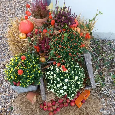 Jardin de l'établissement Maison normande au bord de Seine, Le Verger de Pacôme