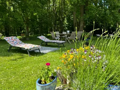Jardin de l'établissement GITES du BOIS des PERRUCHES