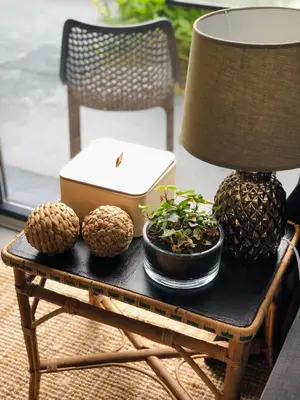Nourriture dans l'appartement ou à proximité