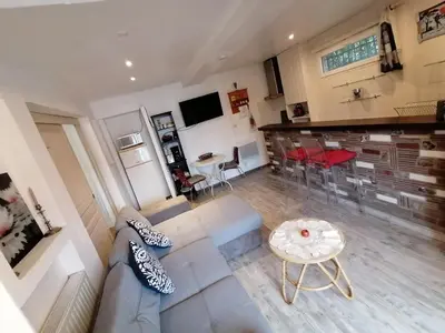 Télévision ou salle de divertissement dans l'établissement Charmant appartement indépendant, 5 mn de Rouen, avec terrasse, refait à neuf