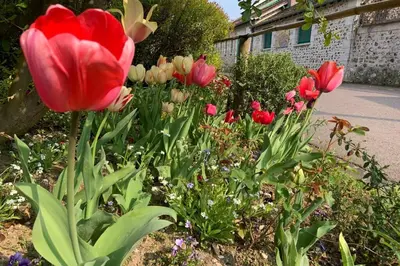 Jardin de l'établissement Le Clos de l'Eglise - Blanche