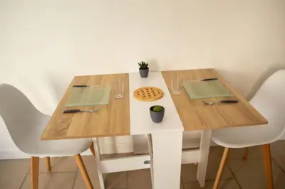 Plan de l'établissement studio cosy & fun face aux château fléchettes