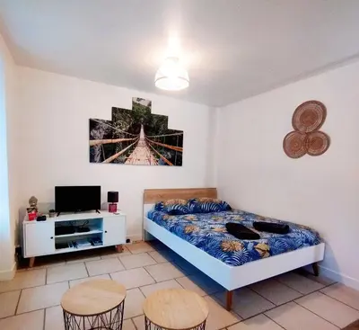 Télévision ou salle de divertissement dans l'établissement studio cosy & fun face aux château fléchettes