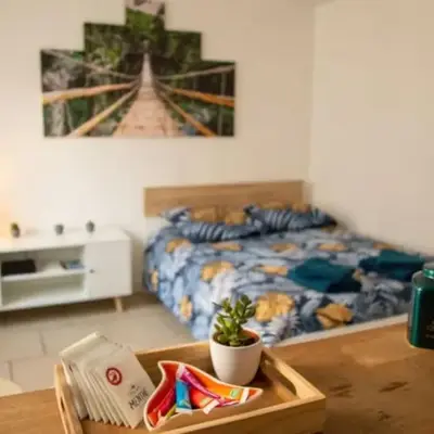 studio cosy & fun face aux château fléchettes