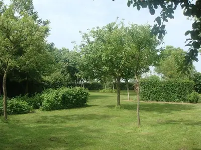 Jardin de l'établissement les coquelicots