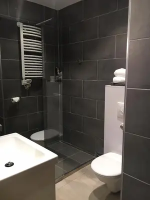 Salle de bains dans l'établissement Logis Hotel Le Val Sarah