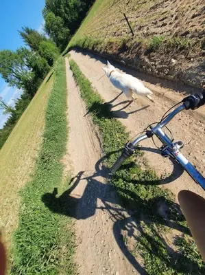 Vélo sur le terrain de l'établissement L'atelier Normand ou dans les environs