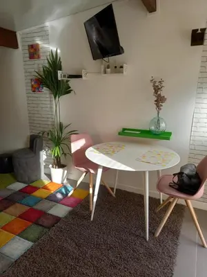 Télévision ou salle de divertissement dans l'établissement Bungalow la Bohémienne