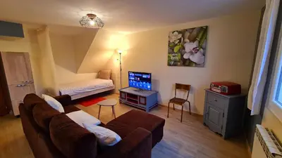 Télévision ou salle de divertissement dans l'établissement Le Studio Bis - Appartement meublé tout confort Centre Ville