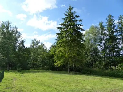 Paysage naturel près de la maison de vacances