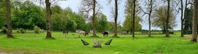 Jardin de l'établissement Gite Haras du Bois de Formerie