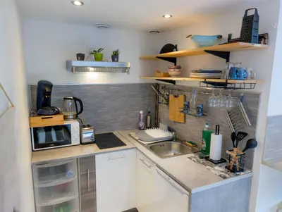 Cuisine ou kitchenette dans l'établissement Jungle Studio - 2P à 4P -Henriville