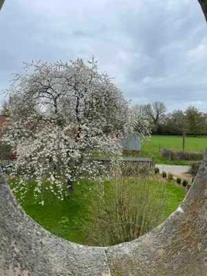 Jardin de l'établissement B&B - Entre terre et mer