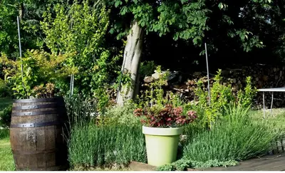 Jardin de l'établissement Gite Labradors De Bailly - Giverny