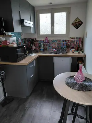 Cuisine ou kitchenette dans l'établissement Studio promenade bord de Seine Rouen