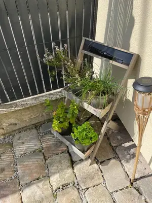 Jardin de l'établissement Agréable maison 3* en bord de mer