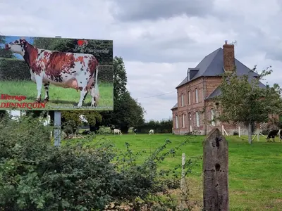 Jardin de l'établissement chambre chez l'habitant 2