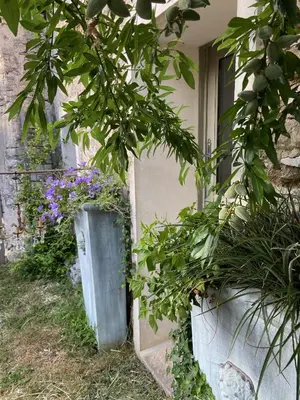Jardin de l'établissement Suite privée avec accès jardin en coeur de village