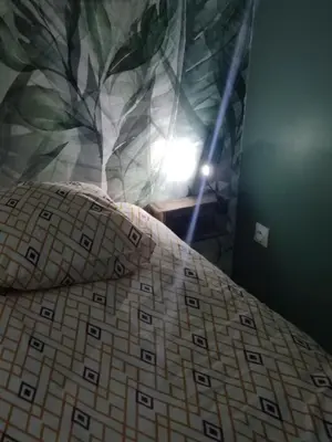 Un ou plusieurs lits dans un hébergement de l'établissement Dormir à l'usine Loft industriel Atypique