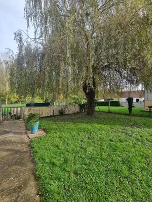Jardin de l'établissement A la casa de papel