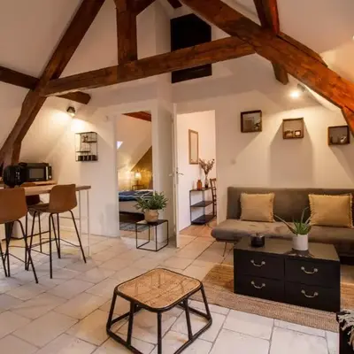 Appt cosy coeur historique+park