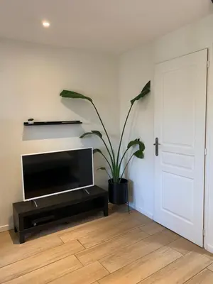 Télévision ou salle de divertissement dans l'établissement Appartement duplex proche zénith, mégacité, stade