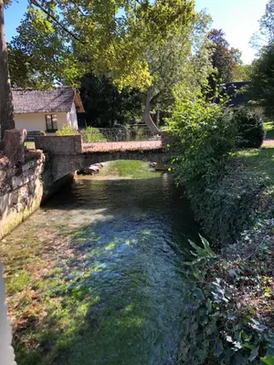 Jardin de l'établissement Moulin à Eau - Domaine de 3 Hectares - Borne électrique - Chiens acceptés