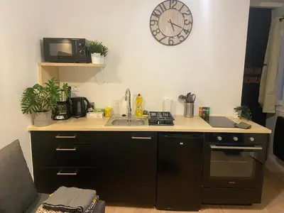 Cuisine ou kitchenette dans l'établissement Studio entièrement refait a neuf - 170