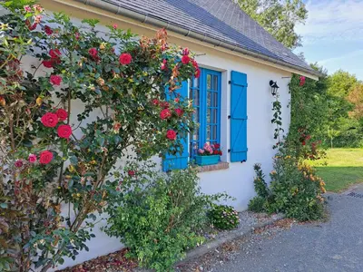 Jardin de l'établissement Les suites d'Élise - Suite Louane