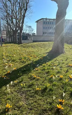 Jardin de l'établissement Magnifique Appartement l'Aigrette