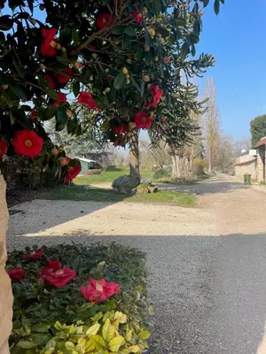 Jardin de l'établissement Chambre équipée Plain-Pied - 2 pers avec sdb wc privé