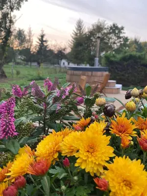 Jardin de l'établissement Au Vieux Moulin