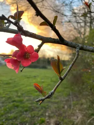 Jardin de l'établissement Au Vieux Moulin