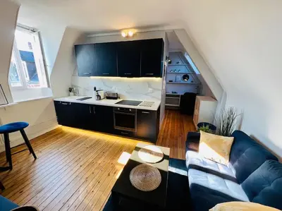 Cuisine ou kitchenette dans l'établissement Appart Rouen Jardin des plantes