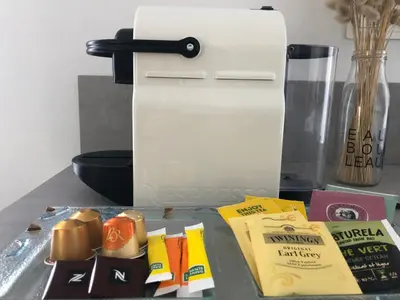 Cuisine ou kitchenette dans l'établissement Maison Gabriel Appartement BULLE