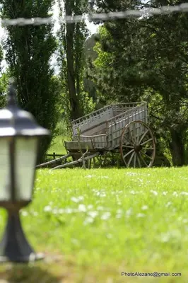Jardin de l'établissement Gite du Centaure