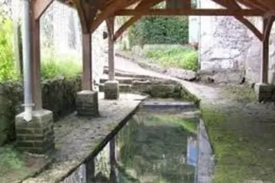 Jardin de l'établissement Petit maison villageoise