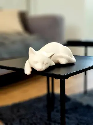 Plan de l'établissement Le Chat d'Or - Grande cuisine
