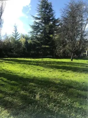 Jardin de l'établissement Les Bambous