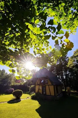 Jardin de l'établissement Le Puits Jaune - Gîte Nature et Spa